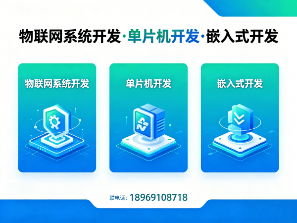 南通嵌入式应用开发物联网协议开发全解析